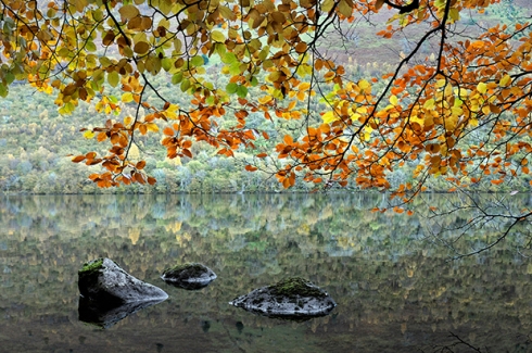 herbst.jpg